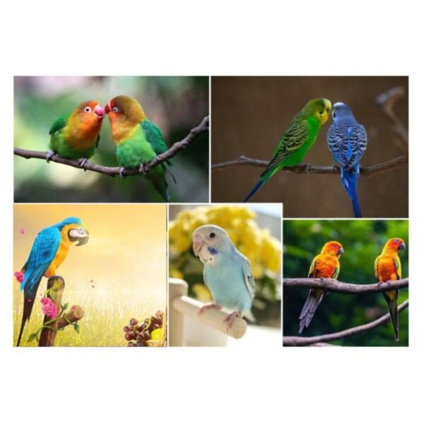 New Design Wood Parrot Ladder Swing Play Stand Perch Playground Pet Toy vogel birds accessoires - Image 5