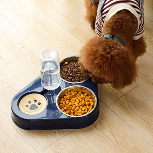 Pets three Bowls Food Water Feeder with Auto Water Dispenser Wet and dry separate bowls For Cats Dog - Image 10