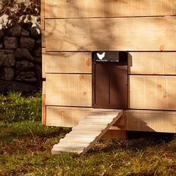 Cat Dog Automatic Chicken Coop Door Light-Sensitive Night Morning Delay Auto Guard Poultry Supplies - Image 4