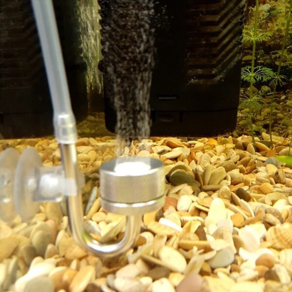 Fish Tank Bubble Atomizer For Aquatic Plant Growth Aquarium With Suction Cup CO2 Generato Diffuser - Image 4