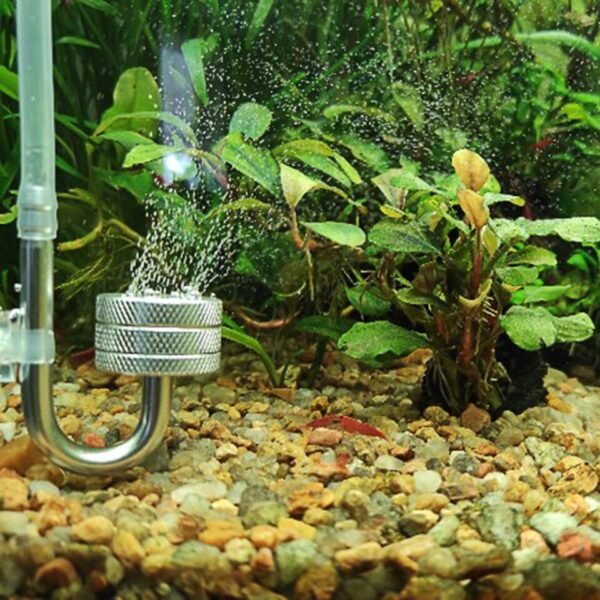Fish Tank Bubble Atomizer For Aquatic Plant Growth Aquarium With Suction Cup CO2 Generato Diffuser