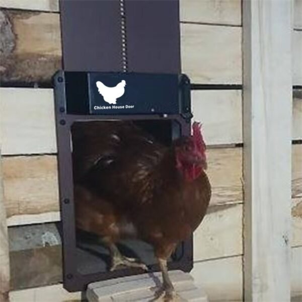 Cat Dog Automatic Chicken Coop Door Light-Sensitive Night Morning Delay Auto Guard Poultry Supplies - Image 2