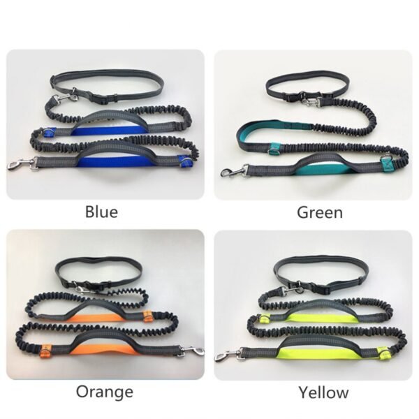 Dog Running Belt Elastic Hands Freely Jogging Dogs Leash Harness Collar Jogging Lead for Dog Supplies - Image 6