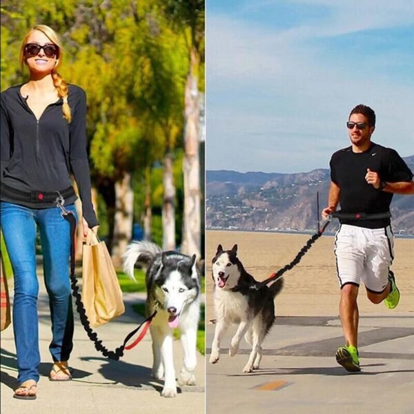 Dog Running Belt Elastic Hands Freely Jogging Dogs Leash Harness Collar Jogging Lead for Dog Supplies - Image 10