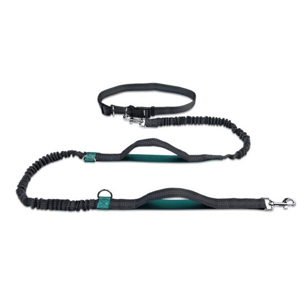 Dog Running Belt Elastic Hands Freely Jogging Dogs Leash Harness Collar Jogging Lead for Dog Supplies - Image 8