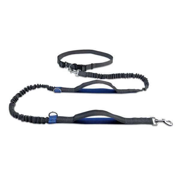 Dog Running Belt Elastic Hands Freely Jogging Dogs Leash Harness Collar Jogging Lead for Dog Supplies - Image 5