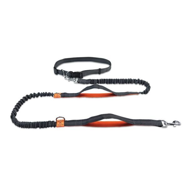 Dog Running Belt Elastic Hands Freely Jogging Dogs Leash Harness Collar Jogging Lead for Dog Supplies - Image 4