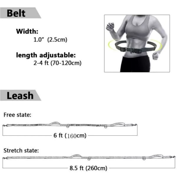 Dog Running Belt Elastic Hands Freely Jogging Dogs Leash Harness Collar Jogging Lead for Dog Supplies - Image 7