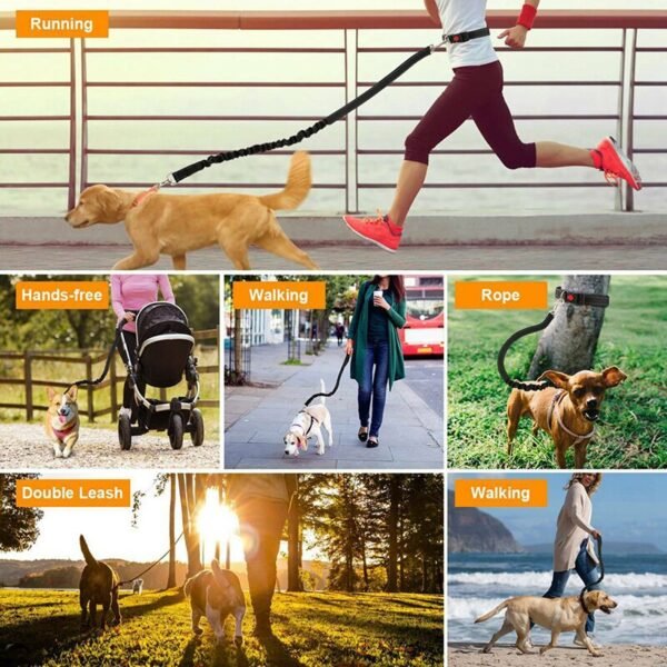 Dog Running Belt Elastic Hands Freely Jogging Dogs Leash Harness Collar Jogging Lead for Dog Supplies - Image 2